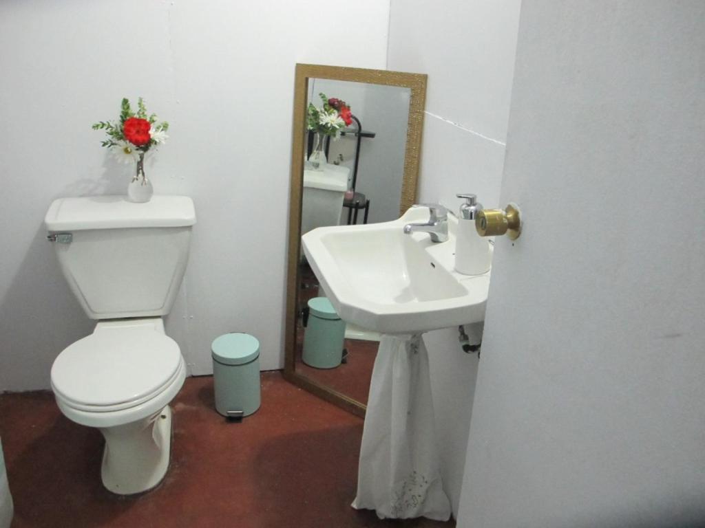 Habitaciones Centro Pucón المظهر الخارجي الصورة