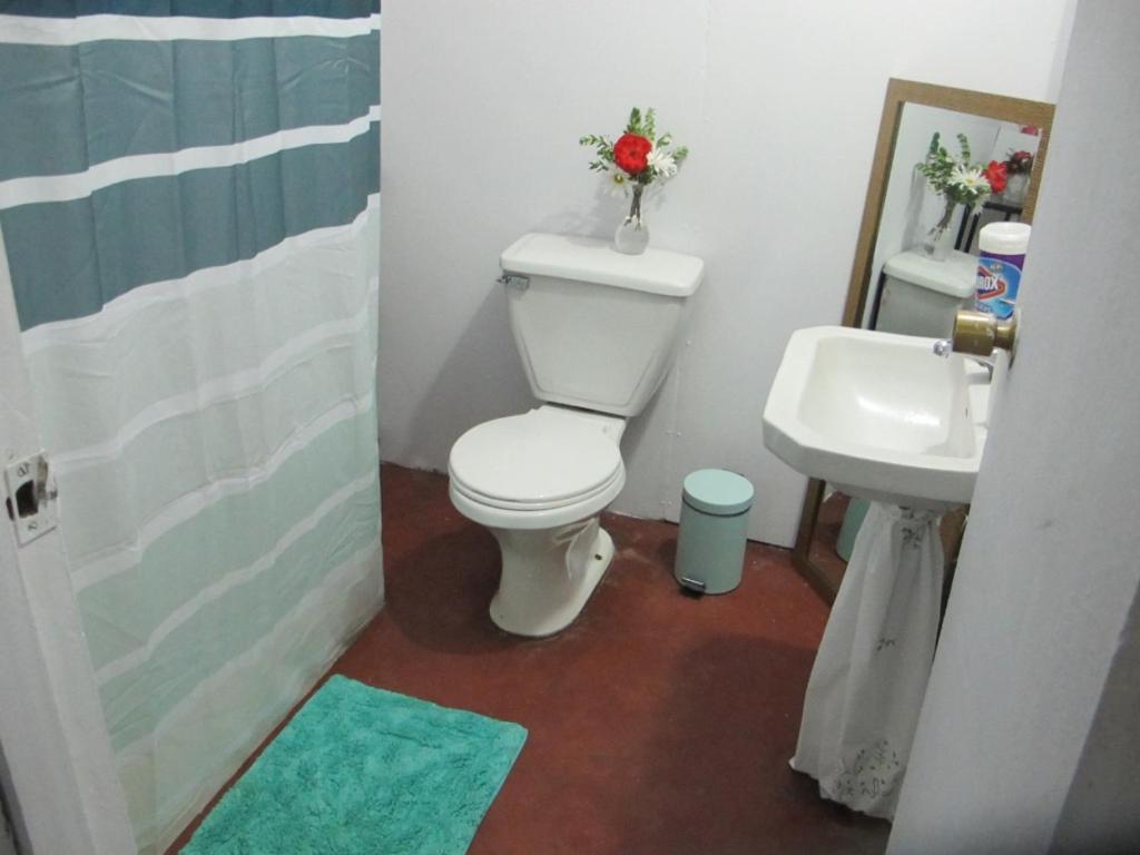 Habitaciones Centro Pucón المظهر الخارجي الصورة